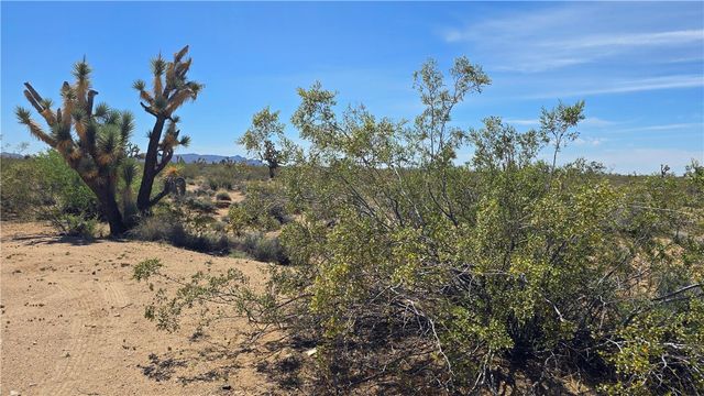 5558 E Red Barrel Road, Yucca, AZ 86438