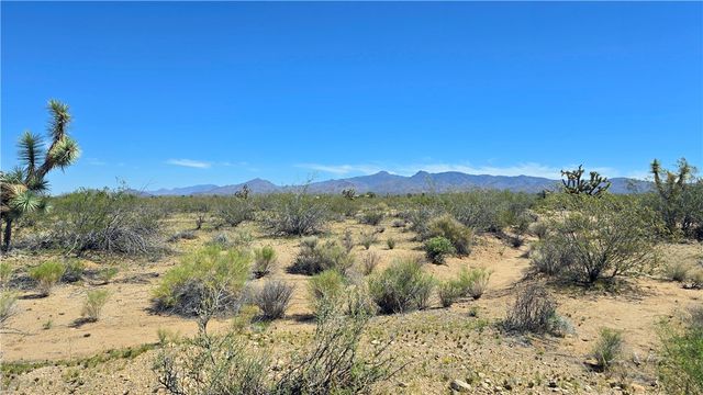 5558 E Red Barrel Road, Yucca, AZ 86438