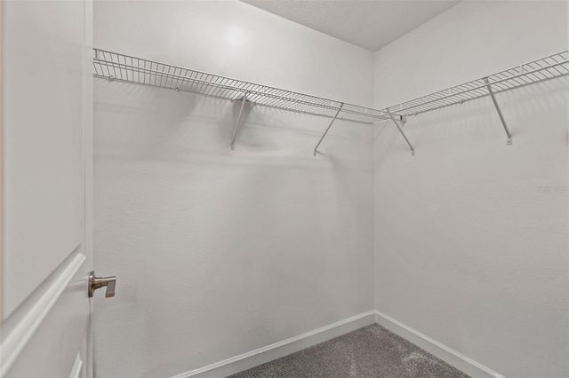 1603 ROSEVILLE STREET, Lutz, FL 33549