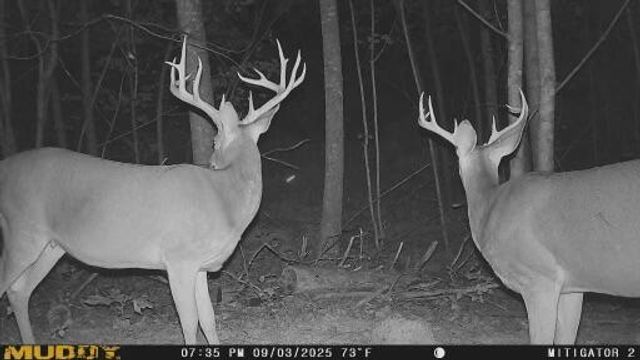 775 Reffitt Road, Jeffersonville, KY 40337