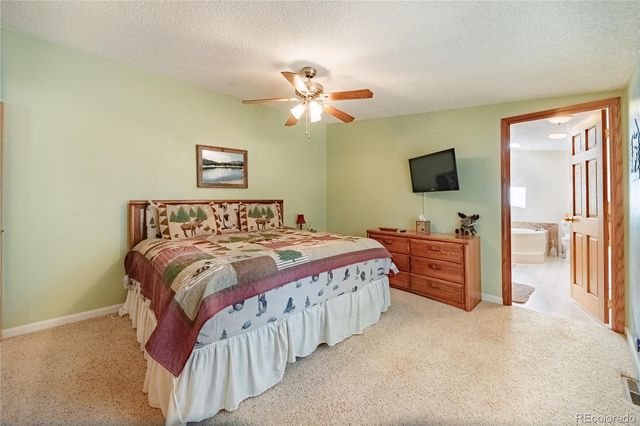 2675 Pikes Peak Drive, Florissant, CO 80816