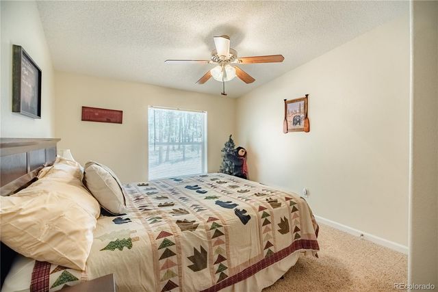 2675 Pikes Peak Drive, Florissant, CO 80816