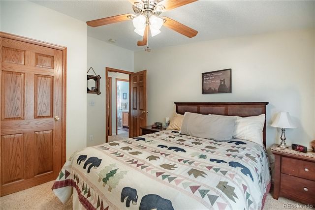 2675 Pikes Peak Drive, Florissant, CO 80816