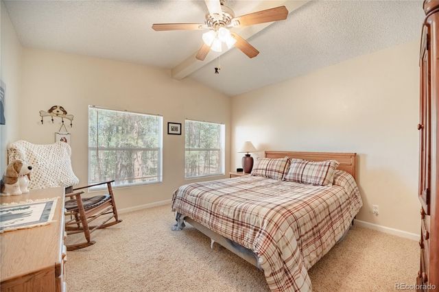 2675 Pikes Peak Drive, Florissant, CO 80816