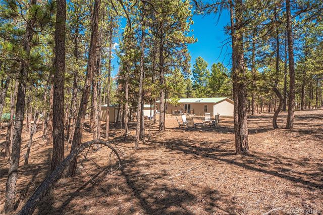 2675 Pikes Peak Drive, Florissant, CO 80816