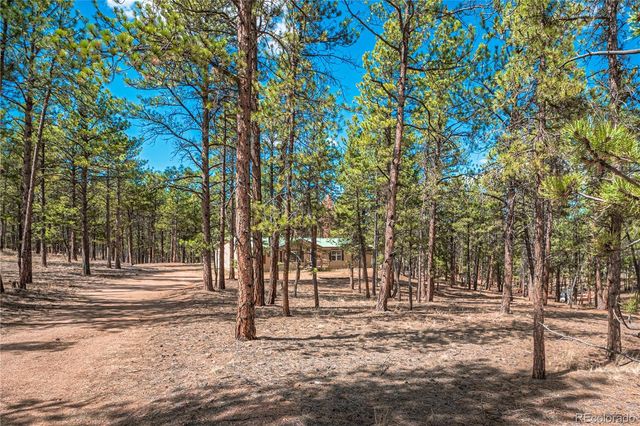 2675 Pikes Peak Drive, Florissant, CO 80816