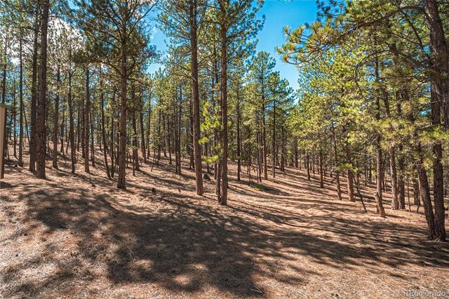 2675 Pikes Peak Drive, Florissant, CO 80816