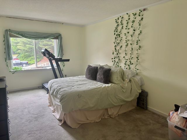 282 Place Lane 282, Woburn, MA 01801