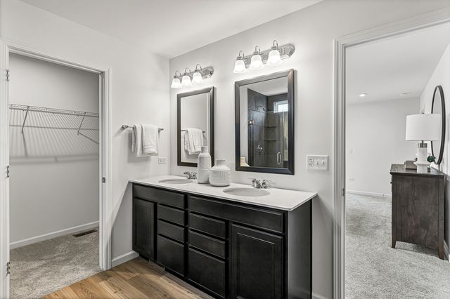 24634 W Alexis Lane, Plainfield, IL 60585