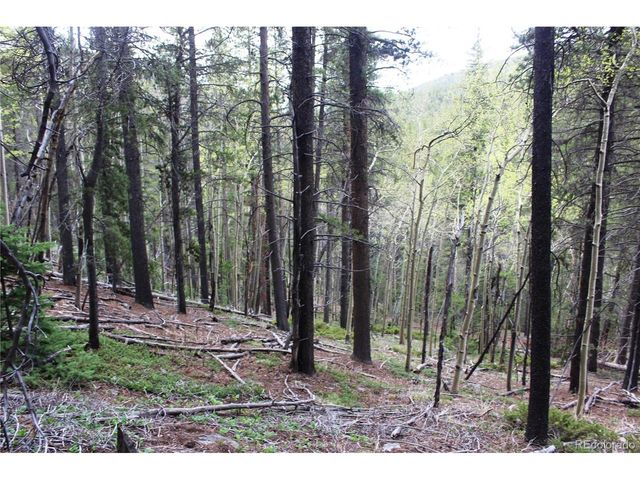 0 Broomfield Gulch Rd, Black Hawk, CO 80422