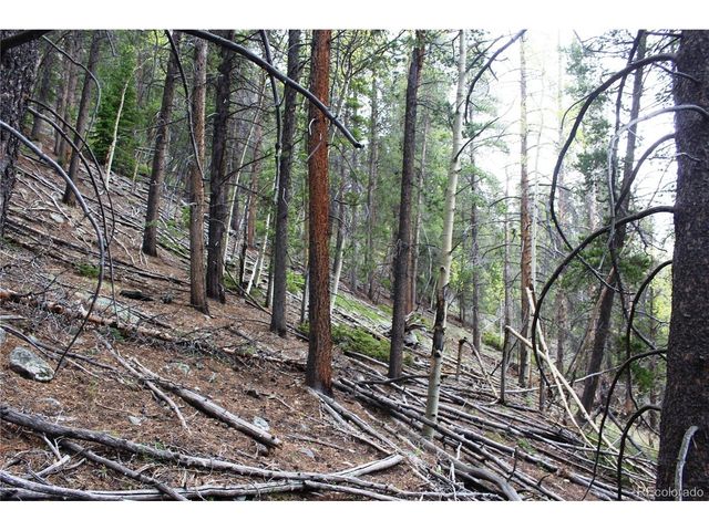 0 Broomfield Gulch Rd, Black Hawk, CO 80422
