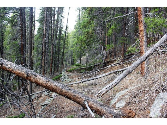 0 Broomfield Gulch Rd, Black Hawk, CO 80422