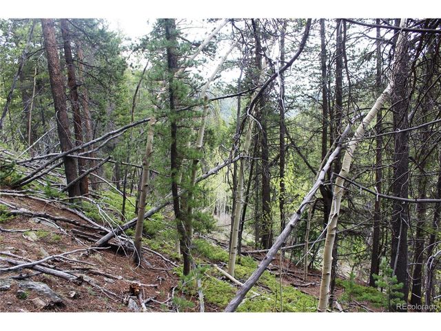 0 Broomfield Gulch Rd, Black Hawk, CO 80422