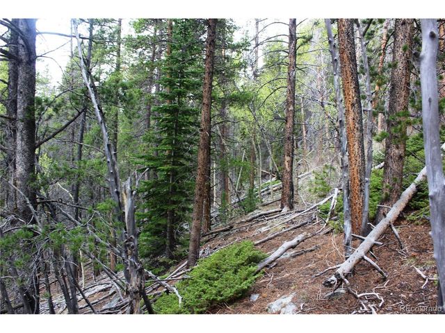 0 Broomfield Gulch Rd, Black Hawk, CO 80422