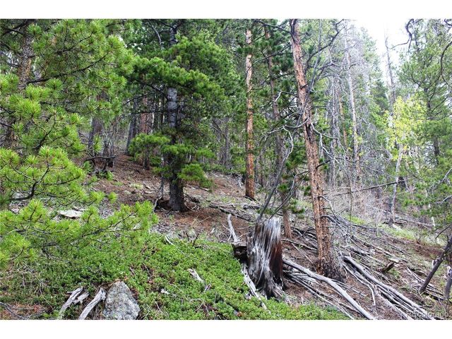 0 Broomfield Gulch Rd, Black Hawk, CO 80422