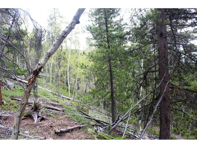 0 Broomfield Gulch Rd, Black Hawk, CO 80422