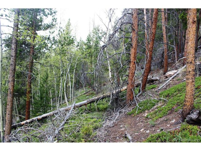 0 Broomfield Gulch Rd, Black Hawk, CO 80422