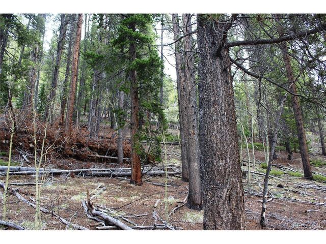 0 Broomfield Gulch Rd, Black Hawk, CO 80422