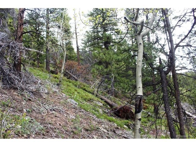 0 Broomfield Gulch Rd, Black Hawk, CO 80422
