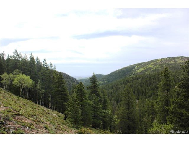 0 Broomfield Gulch Rd, Black Hawk, CO 80422
