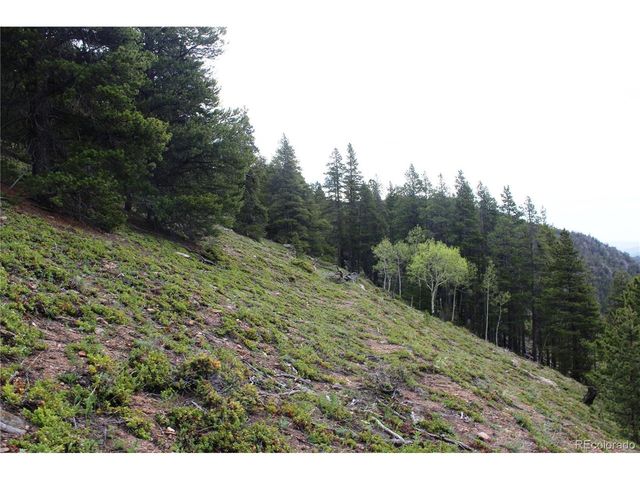 0 Broomfield Gulch Rd, Black Hawk, CO 80422