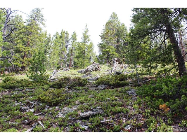 0 Broomfield Gulch Rd, Black Hawk, CO 80422