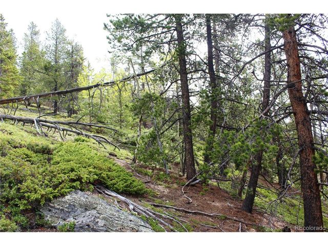 0 Broomfield Gulch Rd, Black Hawk, CO 80422