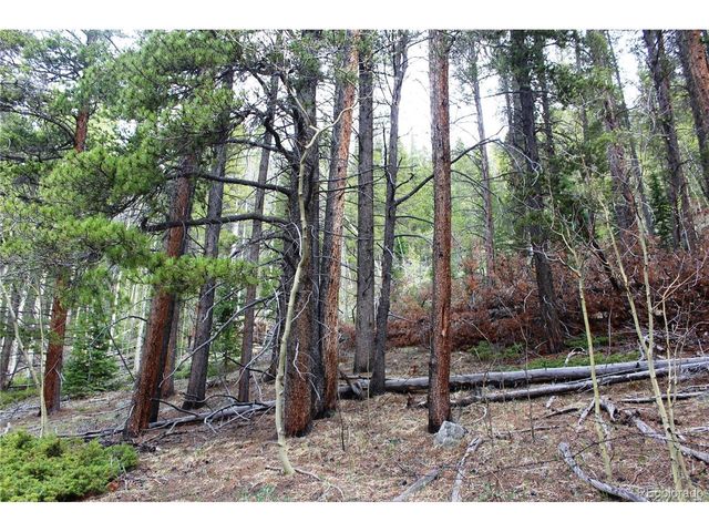 0 Broomfield Gulch Rd, Black Hawk, CO 80422