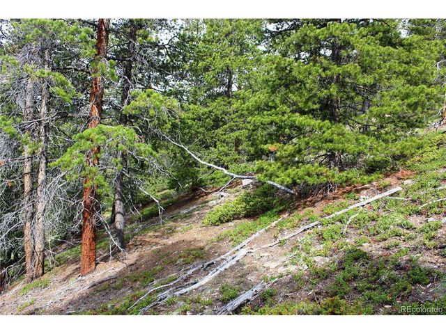 0 Broomfield Gulch Rd, Black Hawk, CO 80422