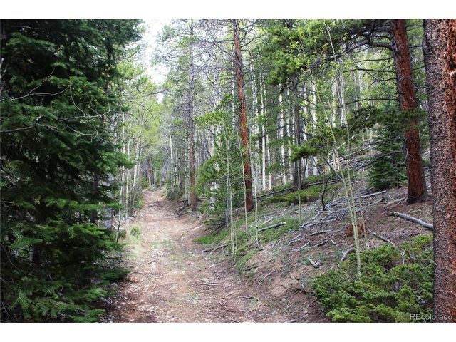 0 Broomfield Gulch Rd, Black Hawk, CO 80422