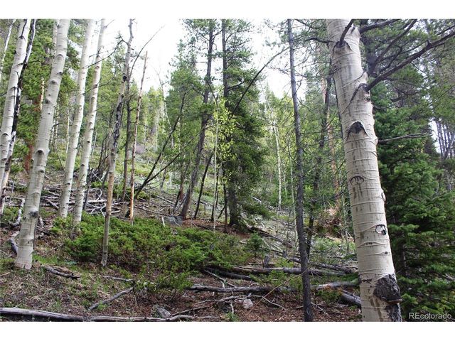 0 Broomfield Gulch Rd, Black Hawk, CO 80422