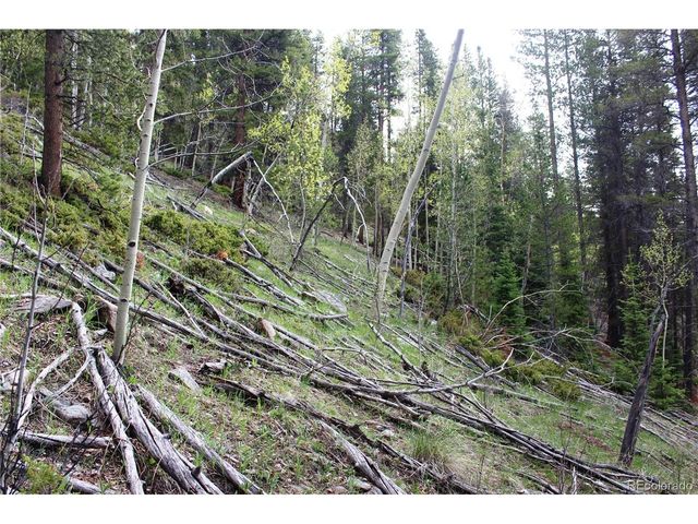 0 Broomfield Gulch Rd, Black Hawk, CO 80422
