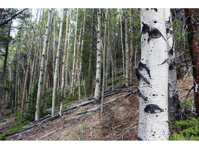 0 Broomfield Gulch Rd, Black Hawk, CO 80422