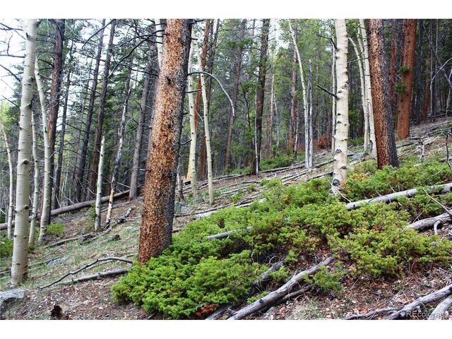0 Broomfield Gulch Rd, Black Hawk, CO 80422