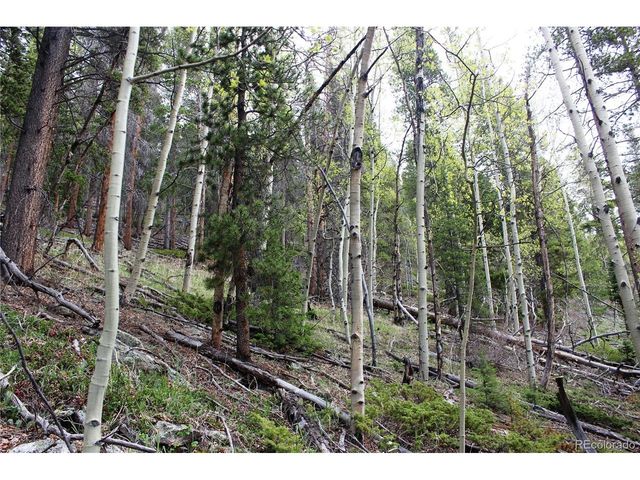 0 Broomfield Gulch Rd, Black Hawk, CO 80422