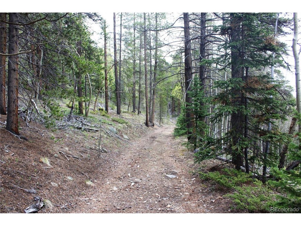 0 Broomfield Gulch Rd, Black Hawk, CO 80422