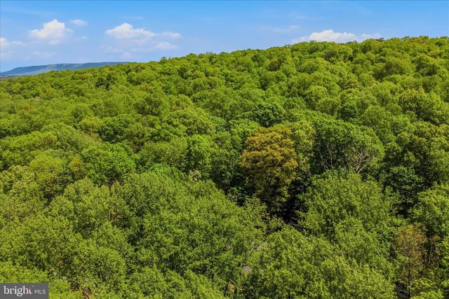 196 FLAGSTONE LN, Berkeley Springs, WV 25411
