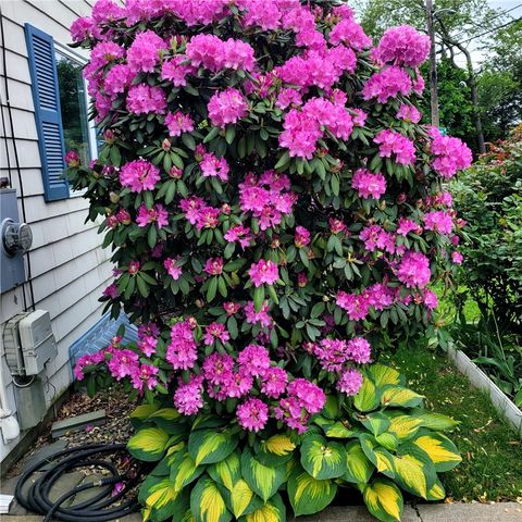 87 Lincoln Park Avenue, Cranston, RI 02920