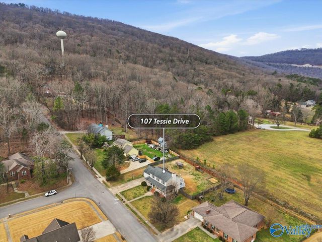 107 Tessie Drive, Owens Cross Roads, AL 35763