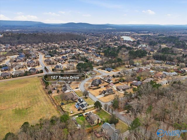 107 Tessie Drive, Owens Cross Roads, AL 35763