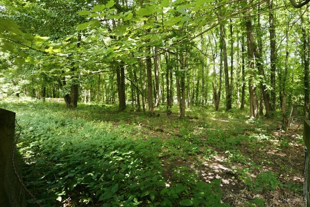 2885 Lindale Mt Holly Road, Monroe Twp, OH 45102