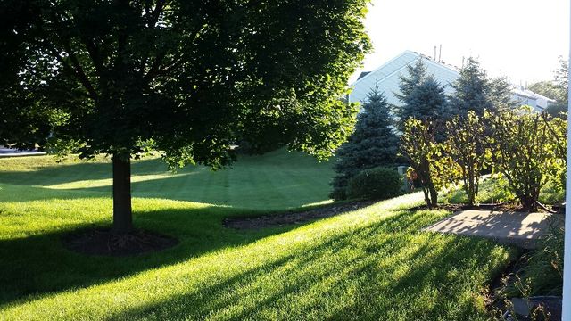 732 Silk Oak Lane 732, Crystal Lake, IL 60014