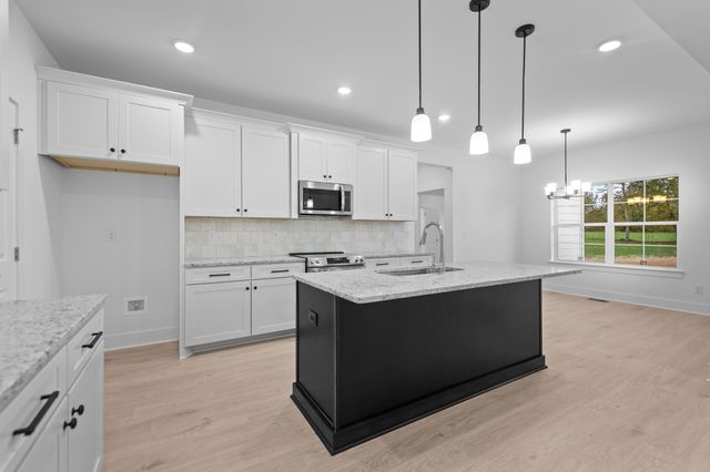 232 Dugout Road, Summertown, TN 38483