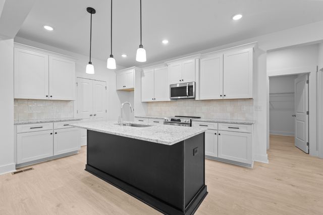 232 Dugout Road, Summertown, TN 38483