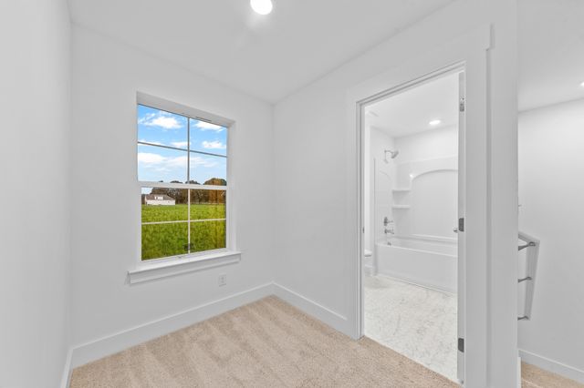 232 Dugout Road, Summertown, TN 38483