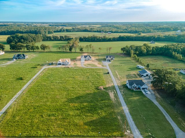 232 Dugout Road, Summertown, TN 38483