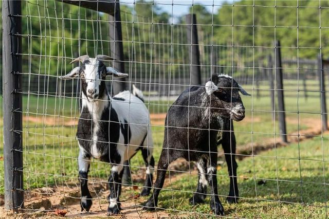 7255 Old Rico Road, Chattahoochee Hills, GA 30268