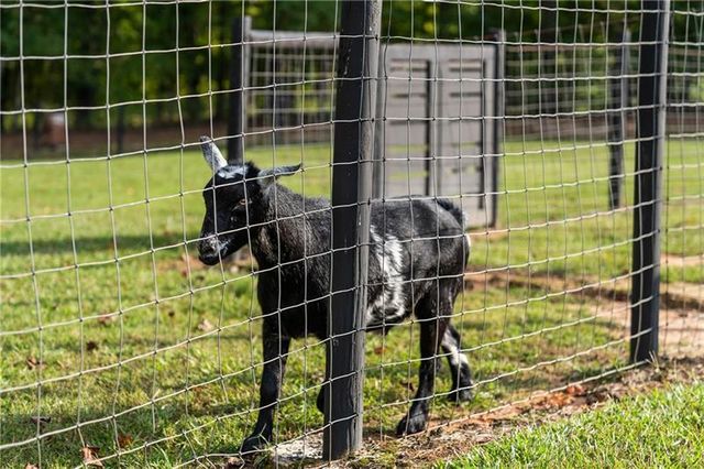 7255 Old Rico Road, Chattahoochee Hills, GA 30268