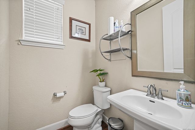 24219 Gazania Bluff, San Antonio, TX 78260