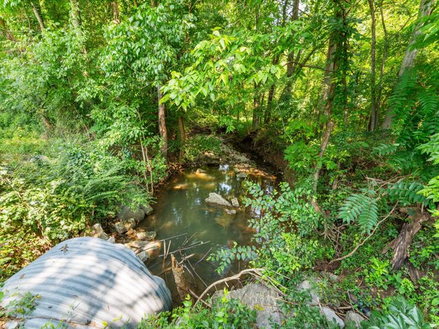 4 Reece Church Rd, Columbia, TN 38401
